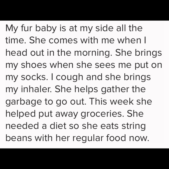 Meet your Posher, RoseAmethyst - Picture 4 of 5